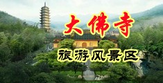 鸡巴干熟女骚逼中国浙江-新昌大佛寺旅游风景区